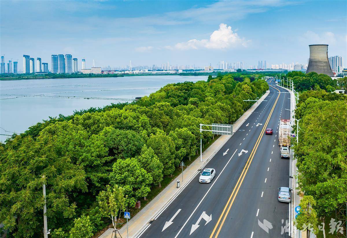 人保车险,拥有“如意行”驾乘险，出行更顺畅！_2025年外卖餐饮行业现状及发展趋势分析