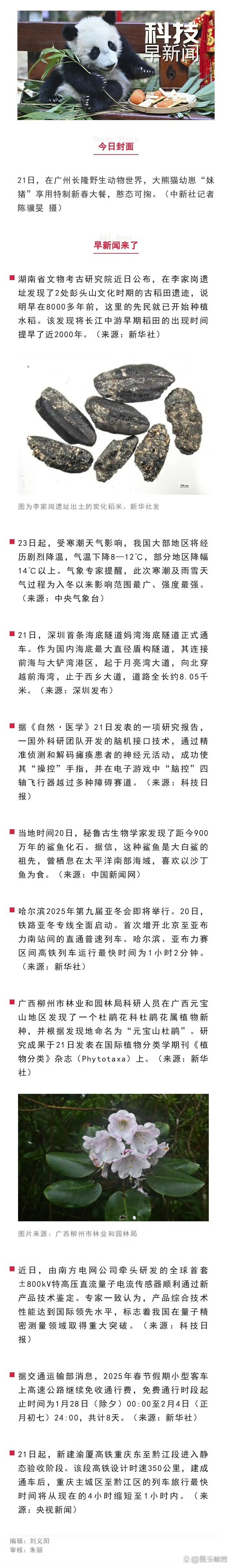人保服务,人保有温度_2025年中国脑机接口市场现状分析及发展前景预测