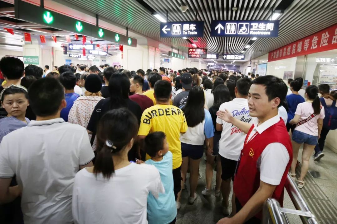 人保服务,拥有“如意行”驾乘险，出行更顺畅！_2025年宠物培训行业现状与发展趋势分析