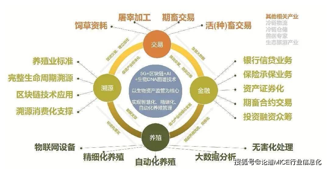 人保车险,人保服务_2025-2030活性白土产业：技术·应用·价值链