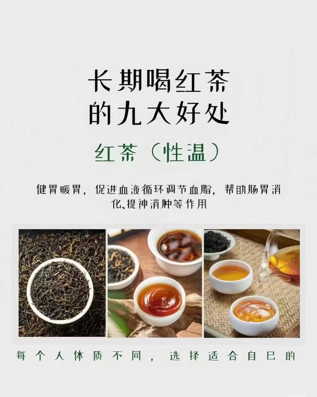 2025年红茶行业市场分析及发展前景预测_人保服务,拥有“如意行”驾乘险，出行更顺畅！