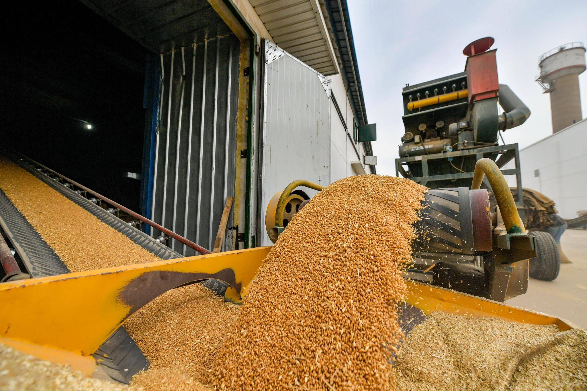 日本政府储备米开始流通，商家申购量已达22万吨