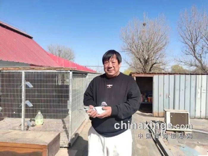刘春生：中国AI出海要用好“三板斧”