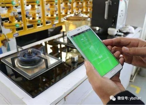2025—2030中国智能燃气表行业研究与投资指南_人保车险,人保服务
