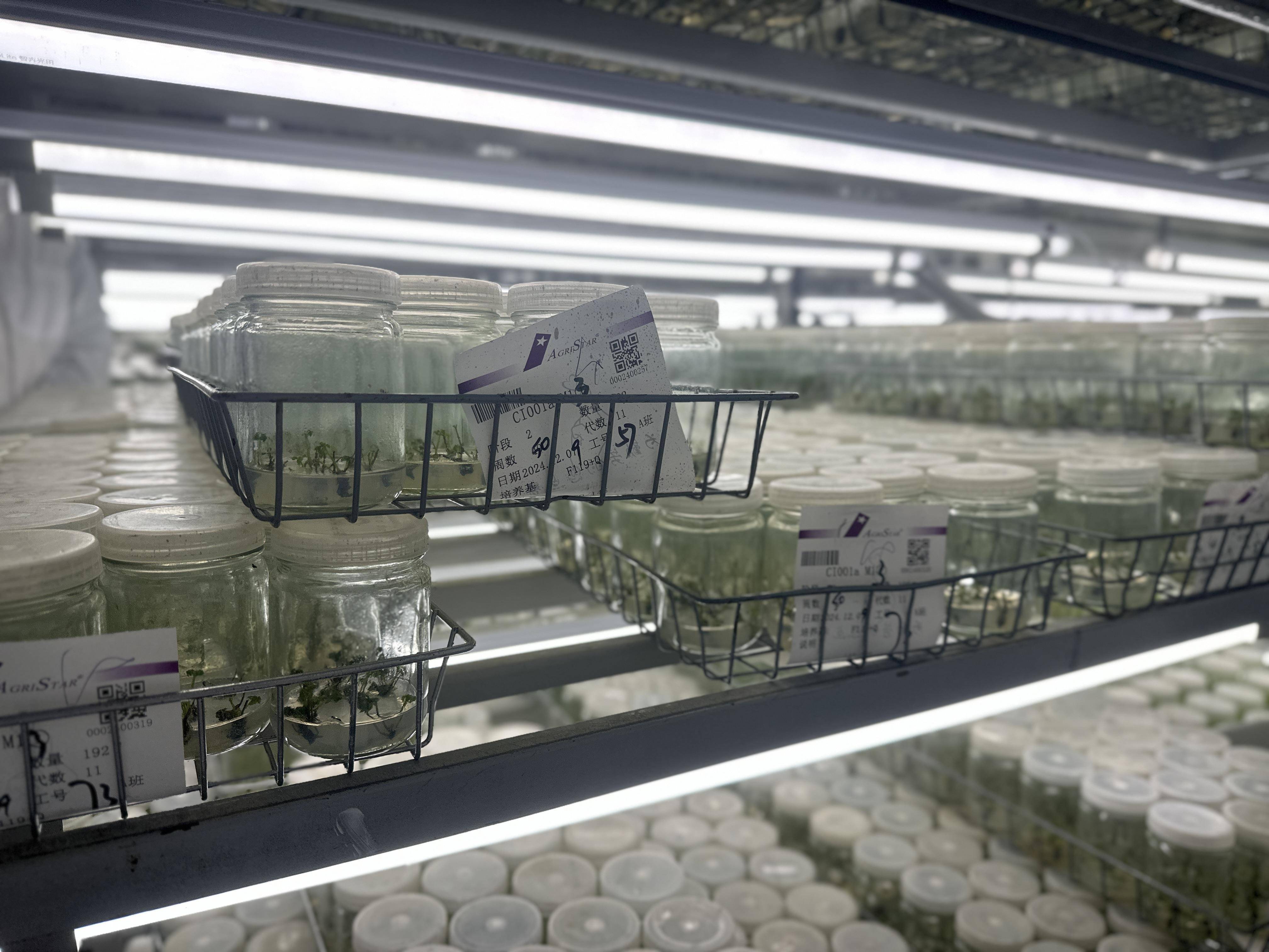 保险有温度,人保财险 _2025超级食品产业：需求越来越个性化、定制化