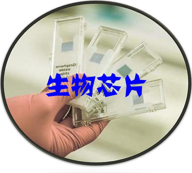 2025年生物芯片行业全景调研及发展趋势预测_人保车险   品牌优势——快速了解燃油汽车车险,人保伴您前行