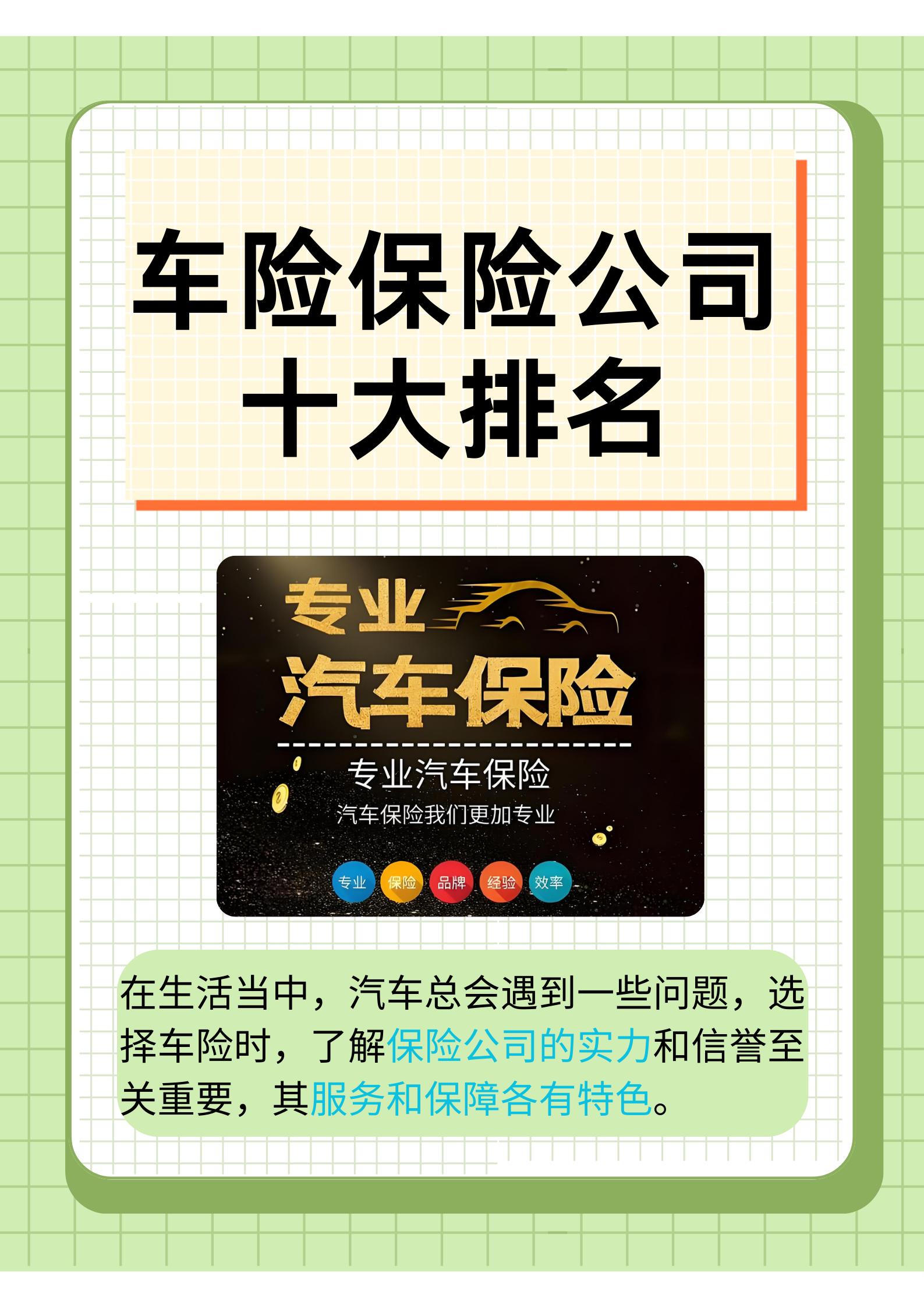 2025年碳钢行业市场调查及投资分析_人保财险 ,人保有温度