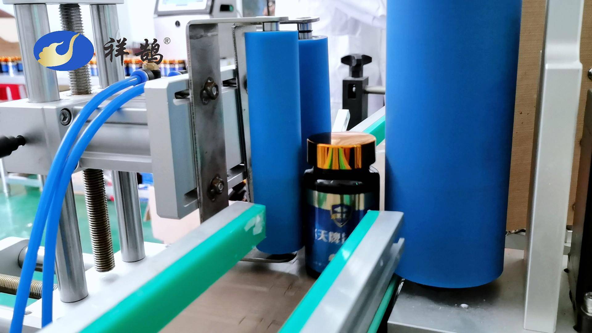 2025年中国微生物蛋白行业:从实验室到餐桌_人保服务 ,人保车险