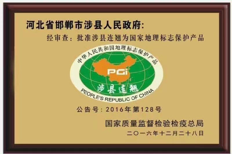 人保伴您前行,人保有温度_森林认证与ESG投资：木质材料企业的绿色竞争力与融资优势