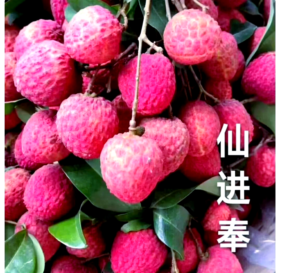 百元一斤的荔枝“打两折”，“贵族水果”为何大降价？