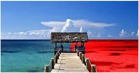 窗帘窗饰行业发展现状深度分析，从红海到蓝海掘金，未来三年蛋糕如何分?_人保服务 ,人保护你周全