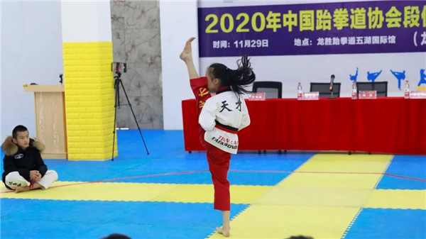 2025年中国跆拳道培训行业：现状剖析与挑战应对_人保车险,人保有温度