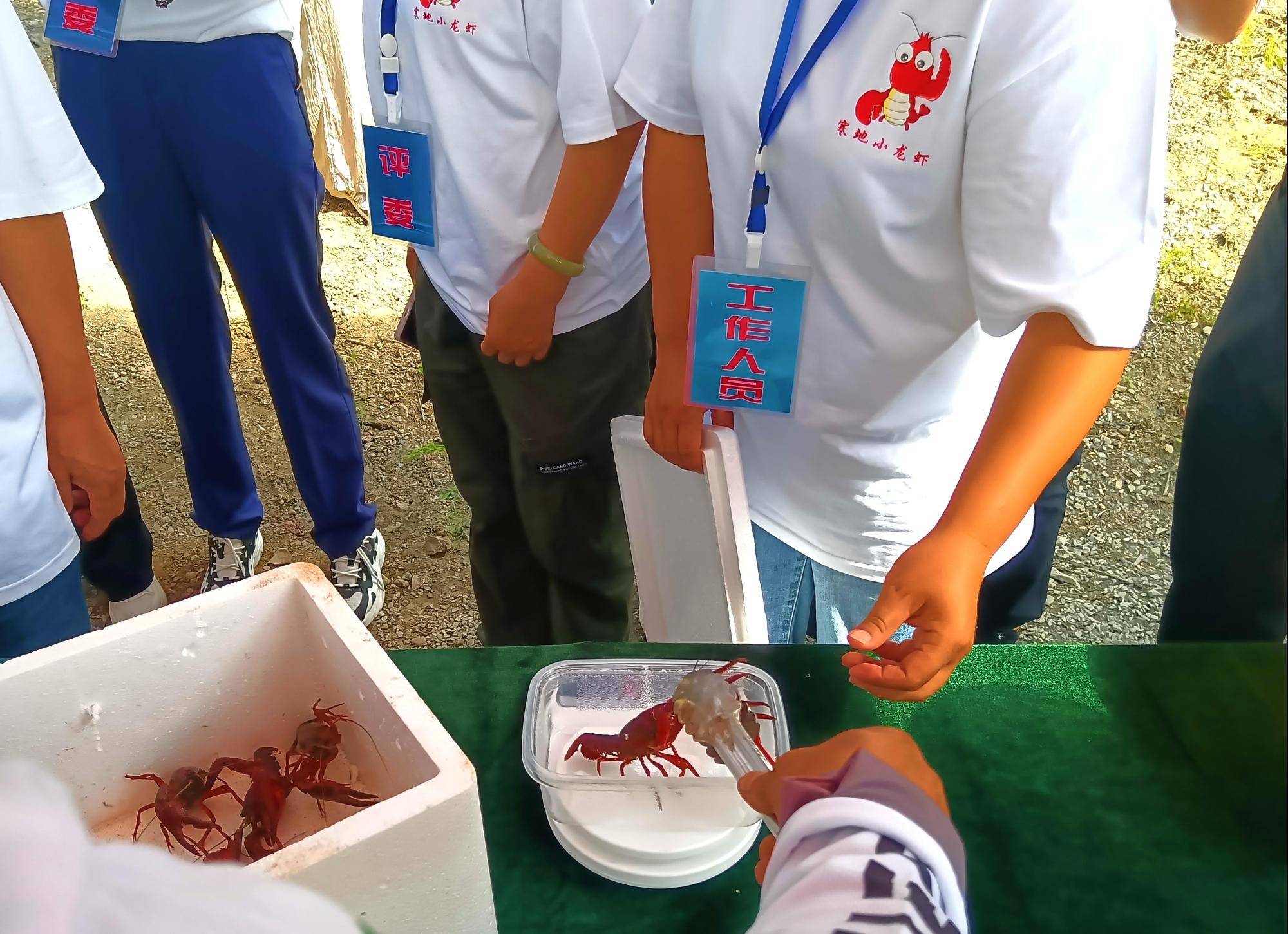 2025年中国小龙虾产业发展现状、竞争格局及未来发展趋势预测分析_人保车险 品牌优势——快速了解燃油汽车车险,拥有“如意行”驾乘险,出行更顺畅!