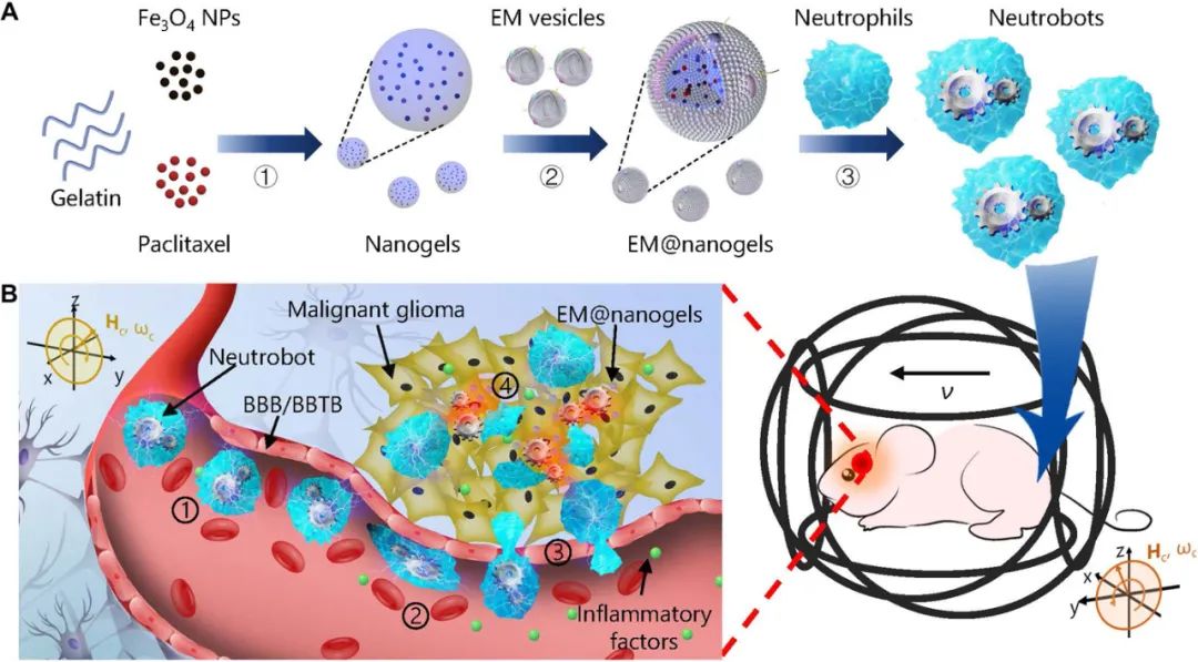 人保服务 ,保险有温度_2025年微纳机器人行业现状与发展趋势分析