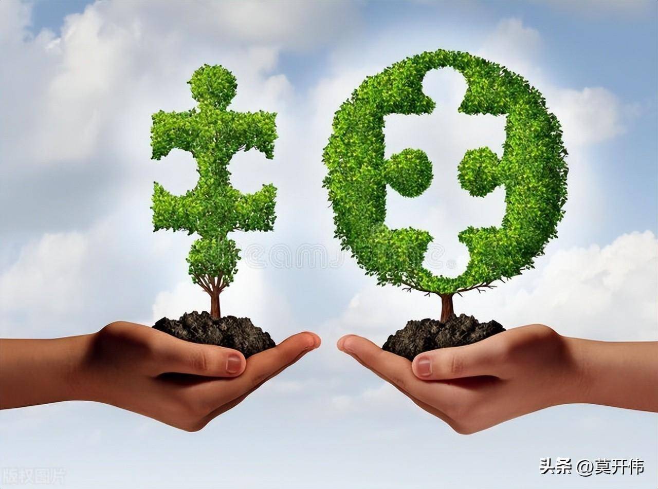 2025年中国新能源金融行业：绿色转型与金融创新_保险有温度,人保服务 