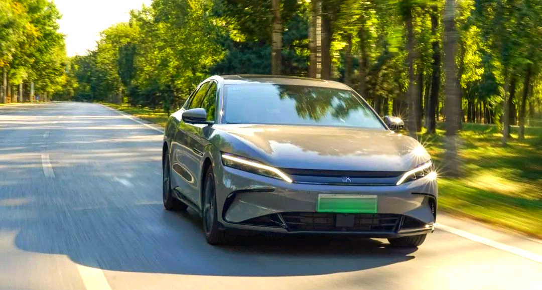 拥有“如意行”驾乘险，出行更顺畅！,人保护你周全_2025中国传统出版行业：竞争格局呈现出多元化的特点