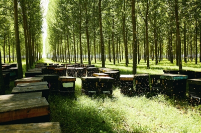 2025年新疆绿色低碳产业，“一带一路”倡议下的“绿色新机遇”_人保服务 ,人保伴您前行