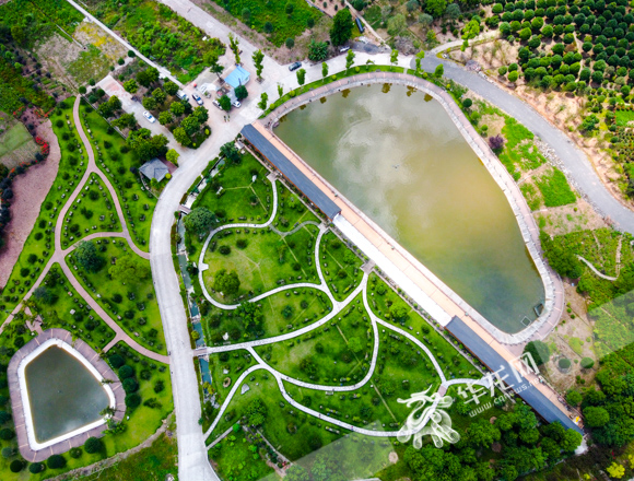 2025年新疆绿色低碳产业，“一带一路”倡议下的“绿色新机遇”_人保服务 ,人保伴您前行