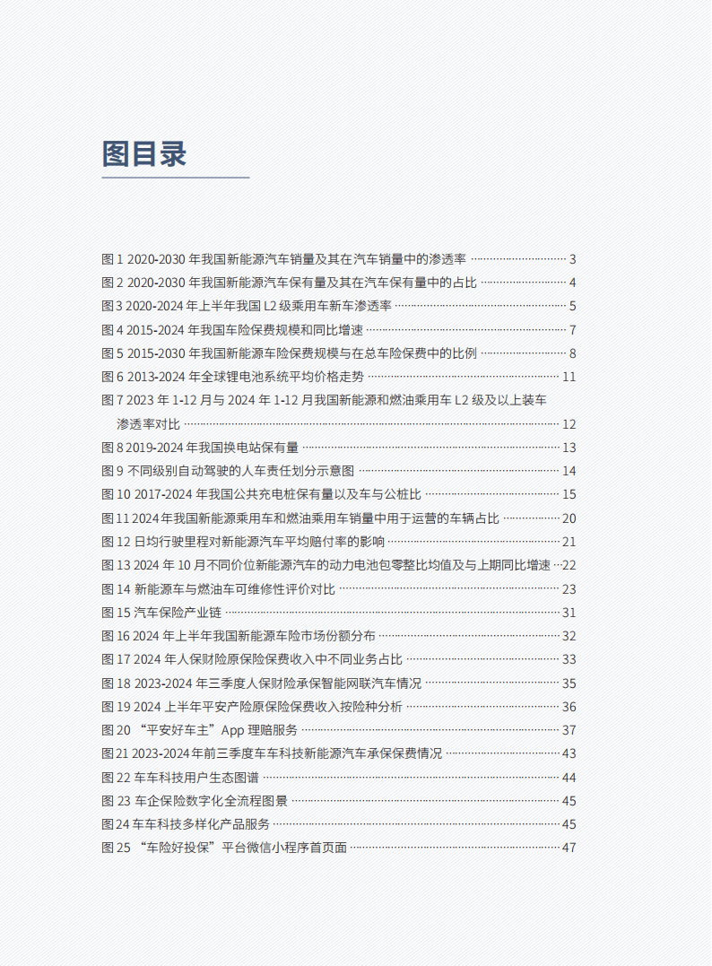 人保车险   品牌优势——快速了解燃油汽车车险,人保有温度_2025中国专业图书：电子书和数字阅读平台的兴起