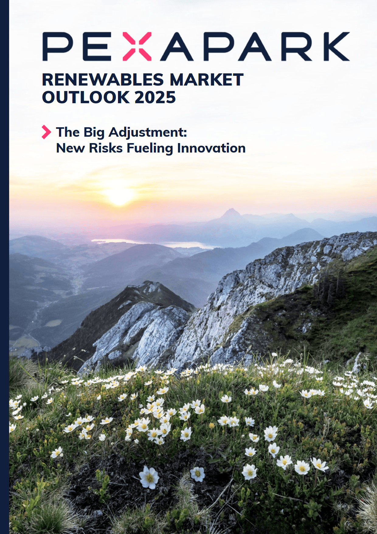 人保财险 ,拥有“如意行”驾乘险，出行更顺畅！_2025再生革行业市场未来发展趋势及前景分析