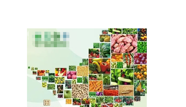 农产品加工行业现状与发展前景分析(2025)_人保服务 ,人保服务