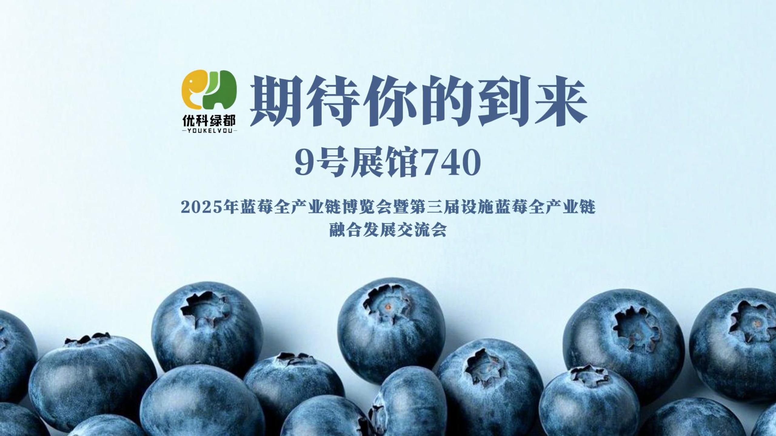 人保服务,人保财险 _2025年中国草莓行业：有机种植与高端品种的崛起