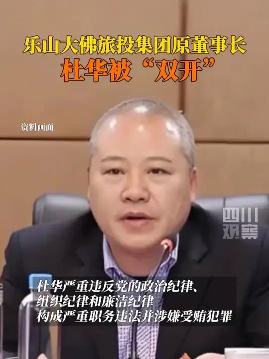 乐山大佛旅游集团原董事长杜华被“双开”