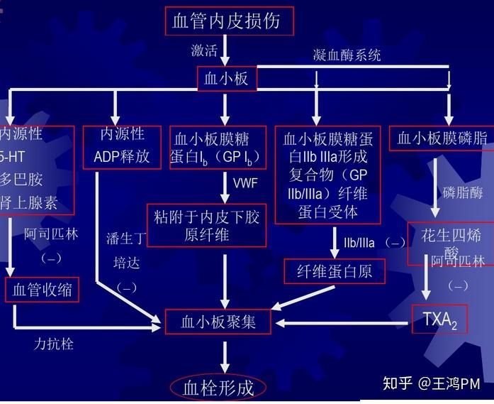 2025年稀有气体行业：现代工业的“血液”与战略资源基石_人保财险 ,人保护你周全