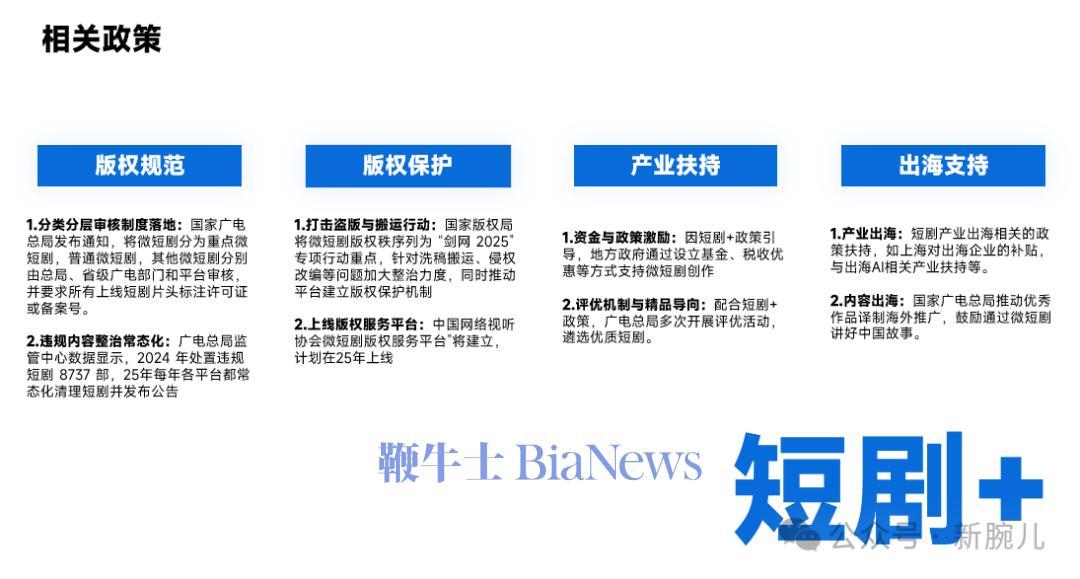 保险有温度,人保财险政银保 _2025我国硝化纤维素行业：从“分散竞争”到“头部引领”的范式转变