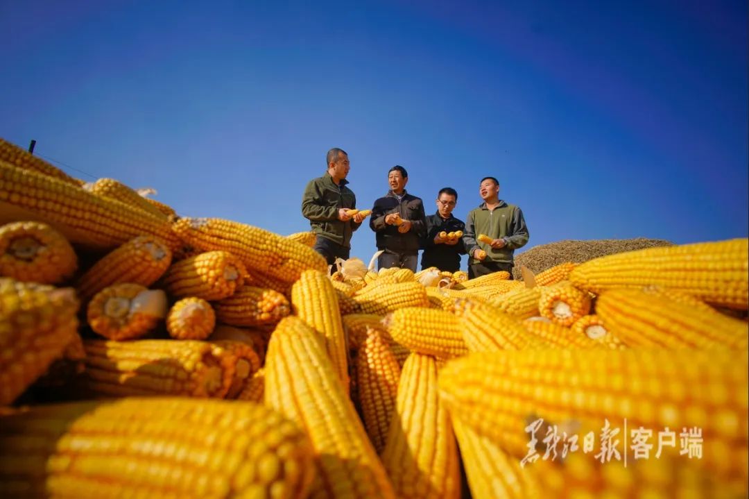 2025年种植业：藏粮于地、藏粮于技_人保服务 ,人保护你周全