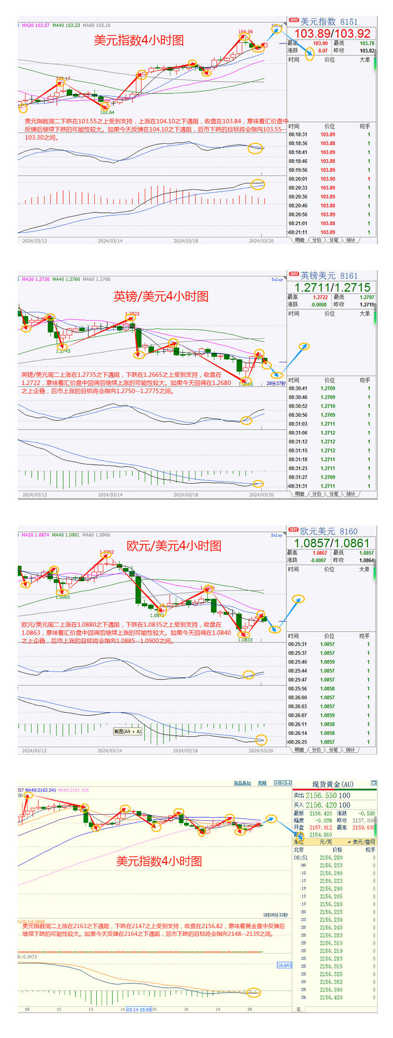 皇家加勒比：二季度盈利12亿美元，进一步上调2025年全年预期