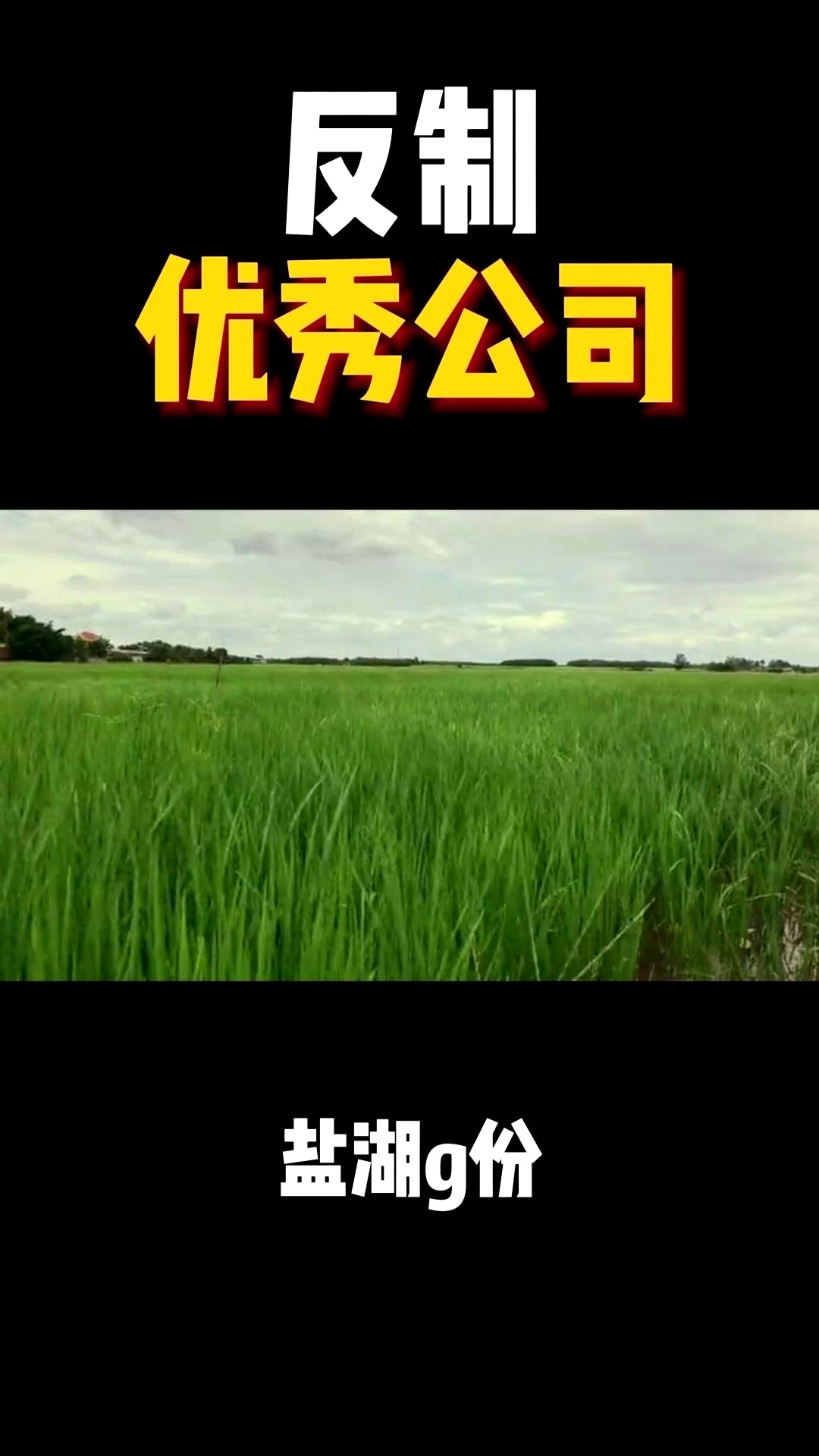 2025中国稀土永磁材料行业产销需求及未来发展趋势预测分析_人保车险   品牌优势——快速了解燃油汽车车险,人保车险