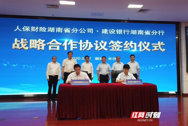 2025试剂产业深度调研及供需格局、竞争格局分析_人保伴您前行,人保财险政银保 