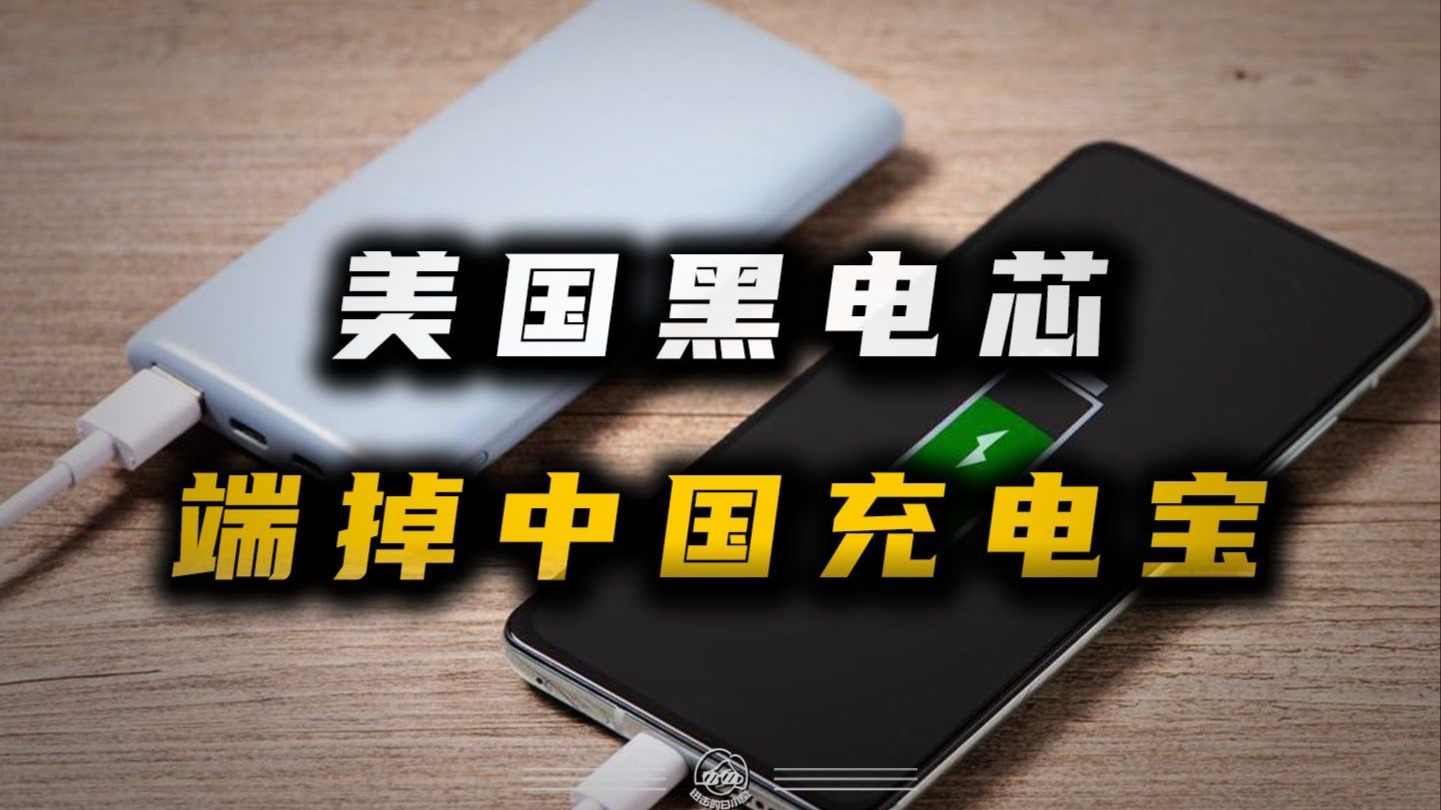 2025年中国充电宝行业发展面临的核心挑战及战略机遇分析_拥有“如意行”驾乘险,出行更顺畅!,人保护你周全