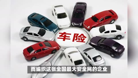 人保车险,人保有温度_2025中国农贸市场行业：让传统业态焕发新生命