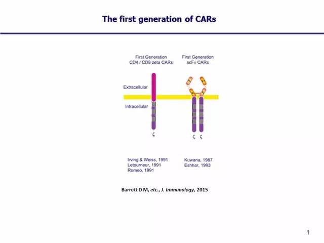 对话科济药业李宗海：希望推动通用型CAR-T在5年内上市