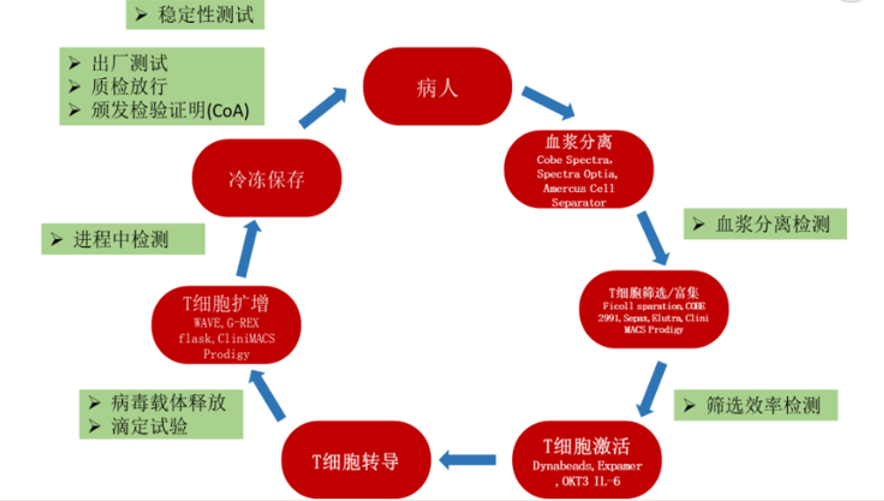对话科济药业李宗海：希望推动通用型CAR-T在5年内上市
