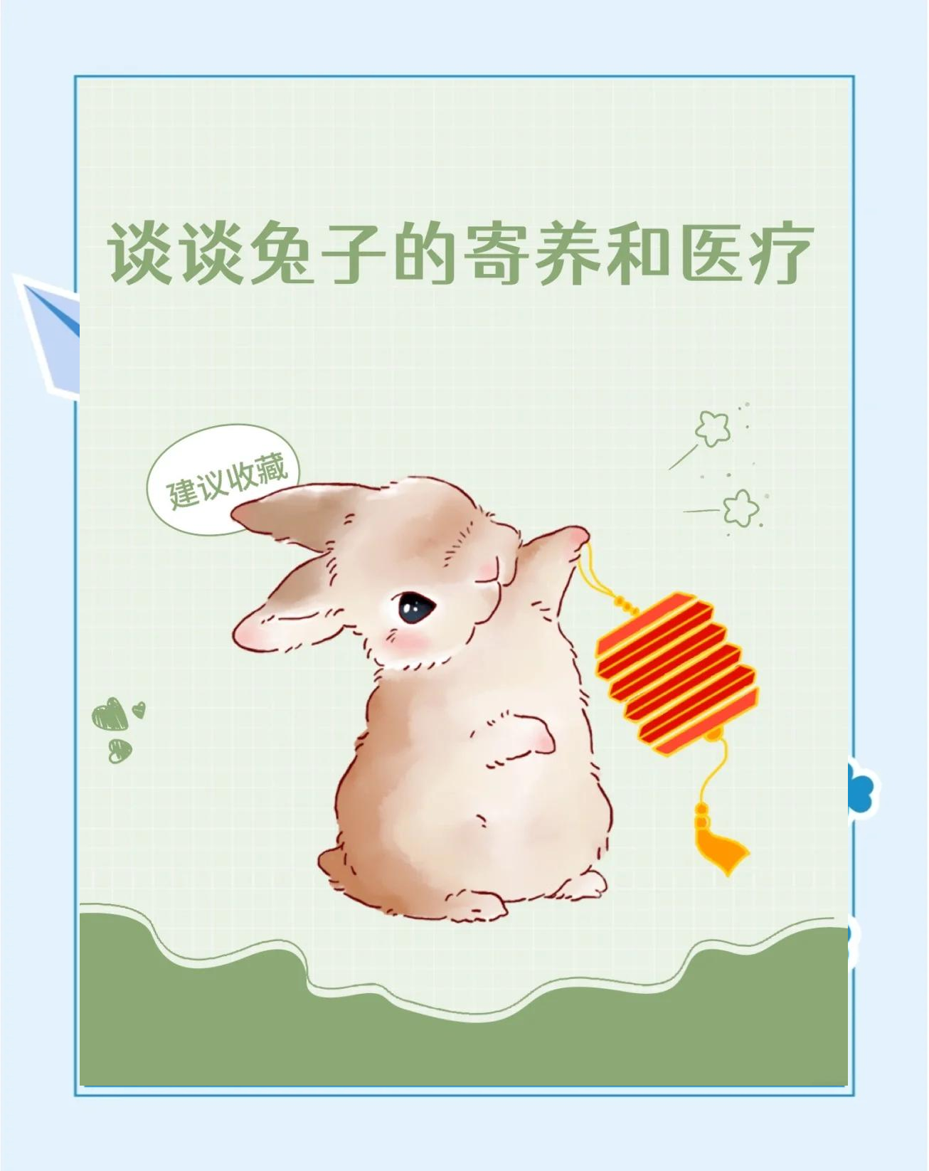 人保财险政银保 ,人保财险 _2025年中国宠物寄养行业：行业标准与规范化发展