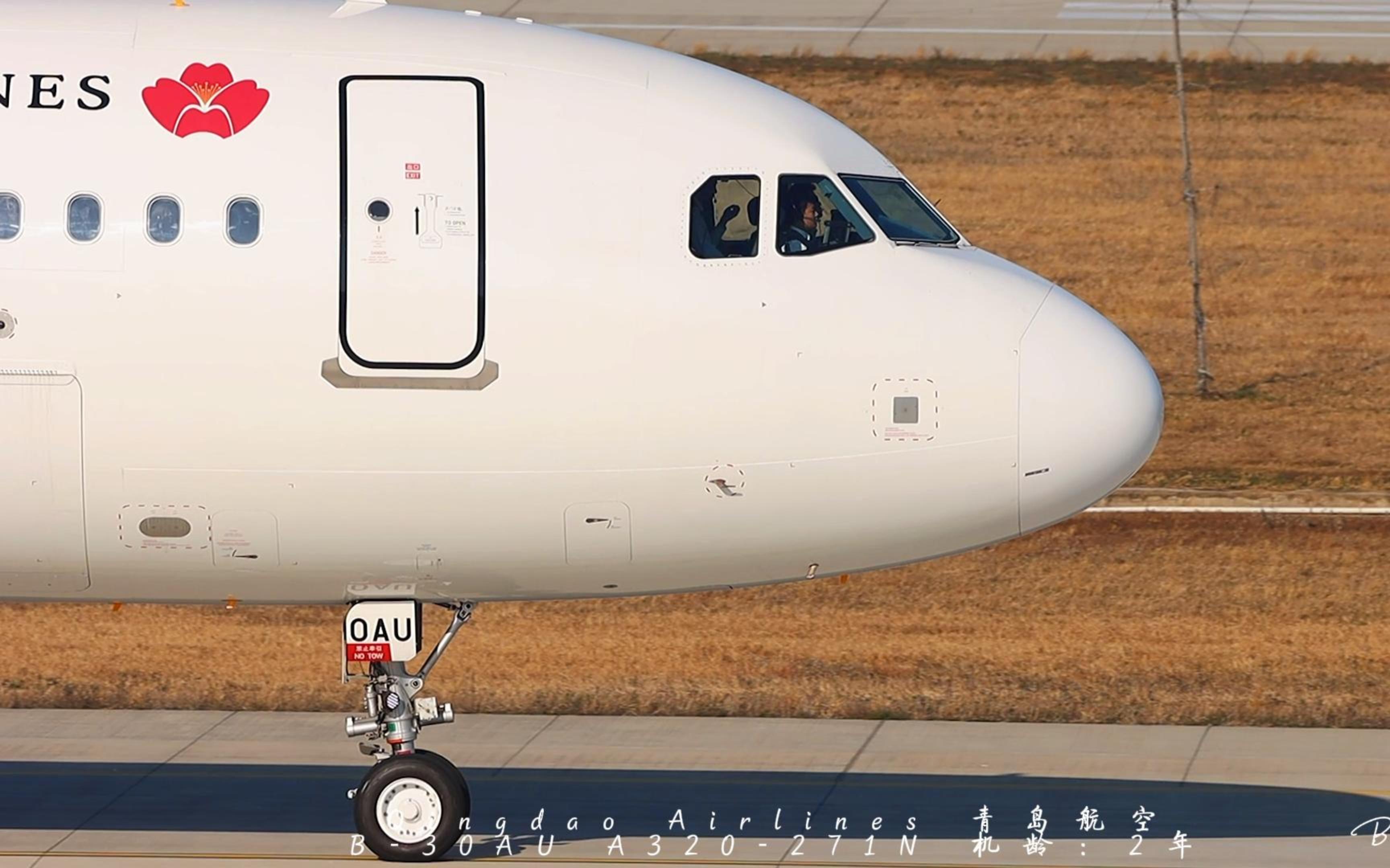 青岛航空澄清：无易主计划