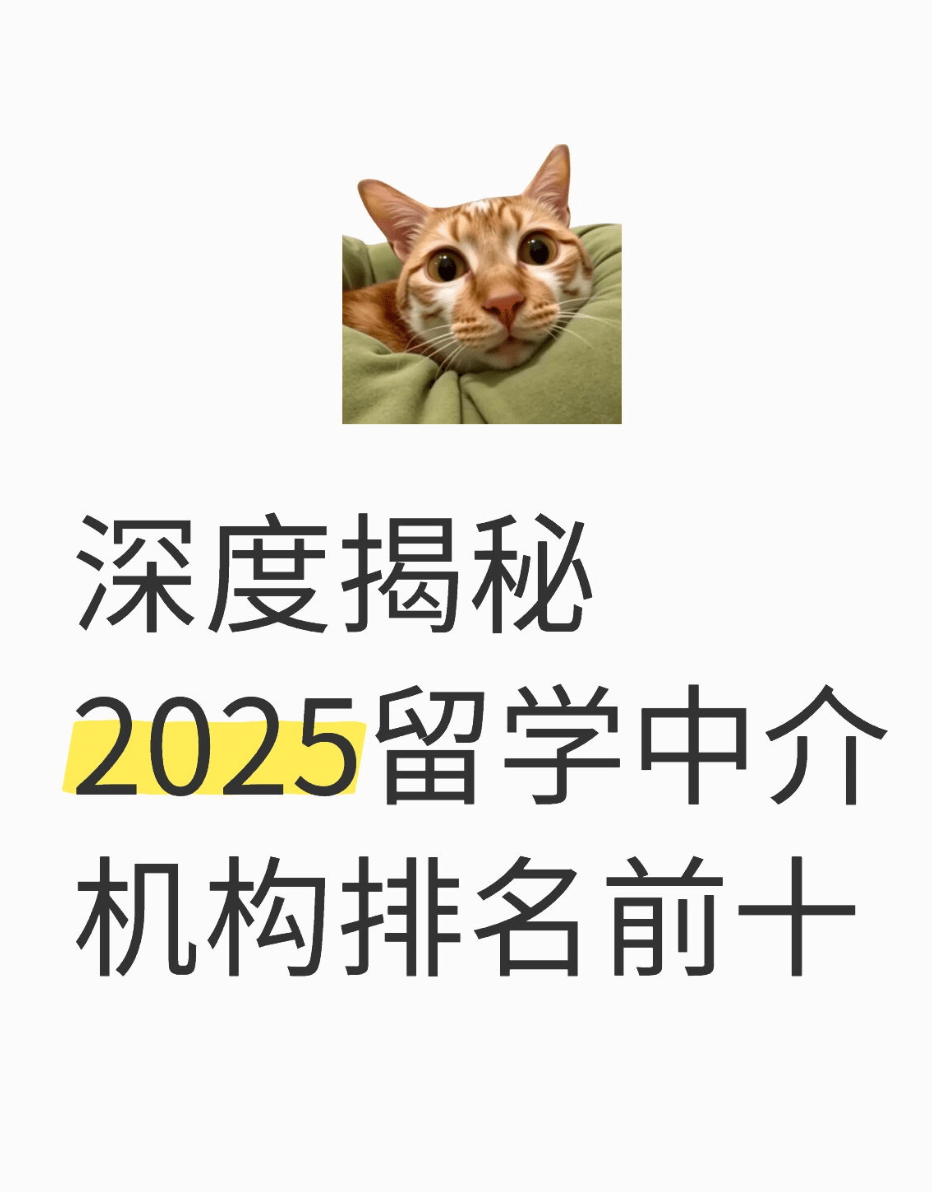 人保财险政银保 ,人保车险_2025年留学中介行业：从信息中介到教育规划者的价值跃迁