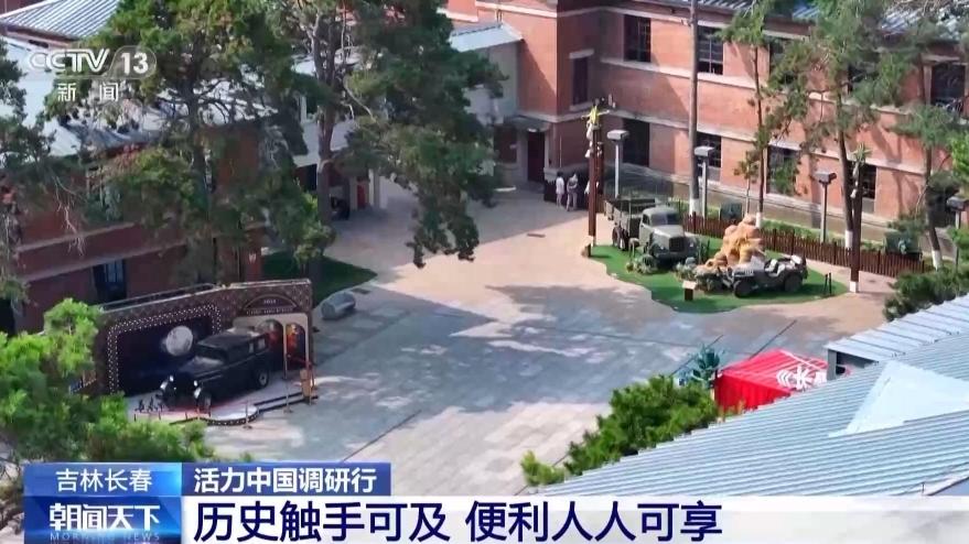 （活力中国调研行）从“锅底落沙”到“绿树富家” 阿拉善百万亩梭梭林种出好日子