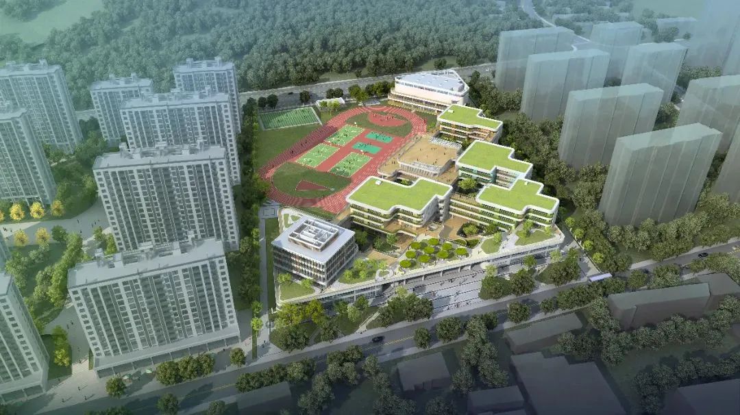 四川白玉：总投资2.5亿元的新学校即将投用