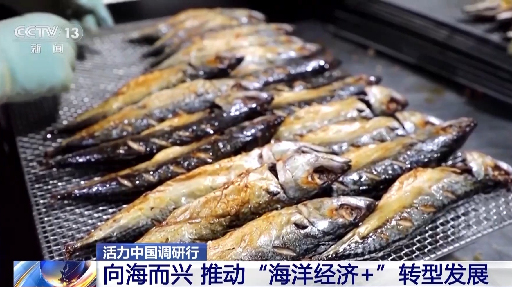 (活力中国调研行)“归雁”成潮 湖北荆州迎产城蝶变