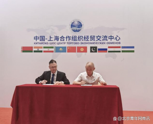 （上合天津峰会）挖掘新机遇 上合组织经贸往来活力强劲