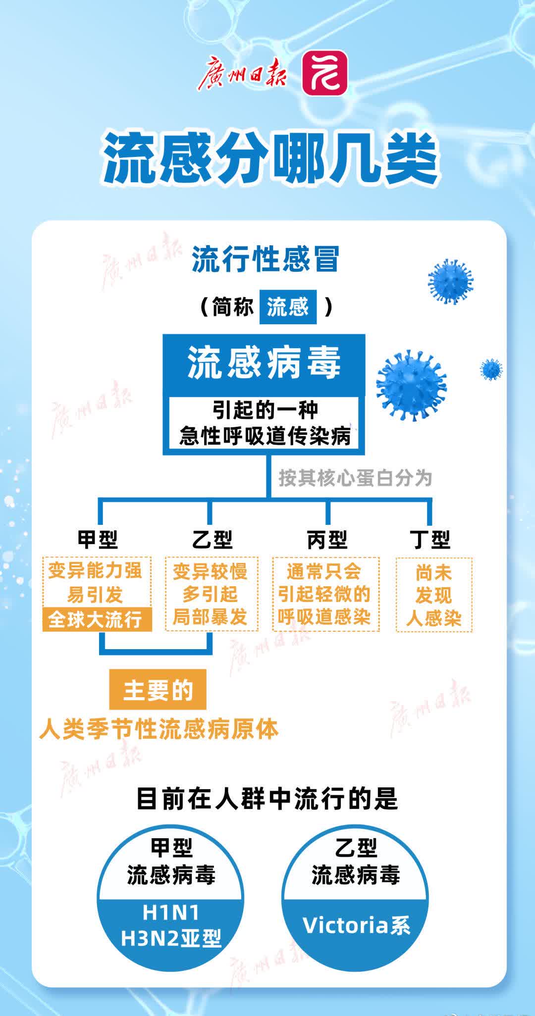 广东处于登革热本地疫情流行期 上周新增177例病例