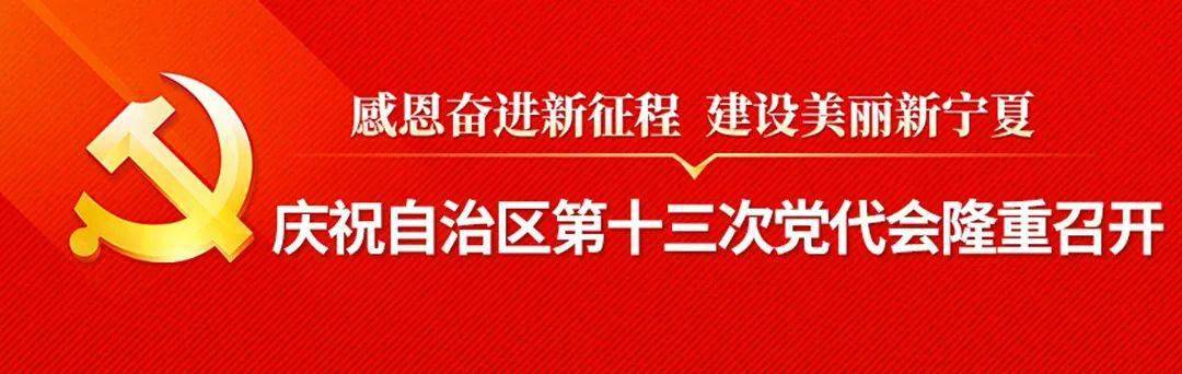宁夏启动工业高质量发展七大攻坚行动
