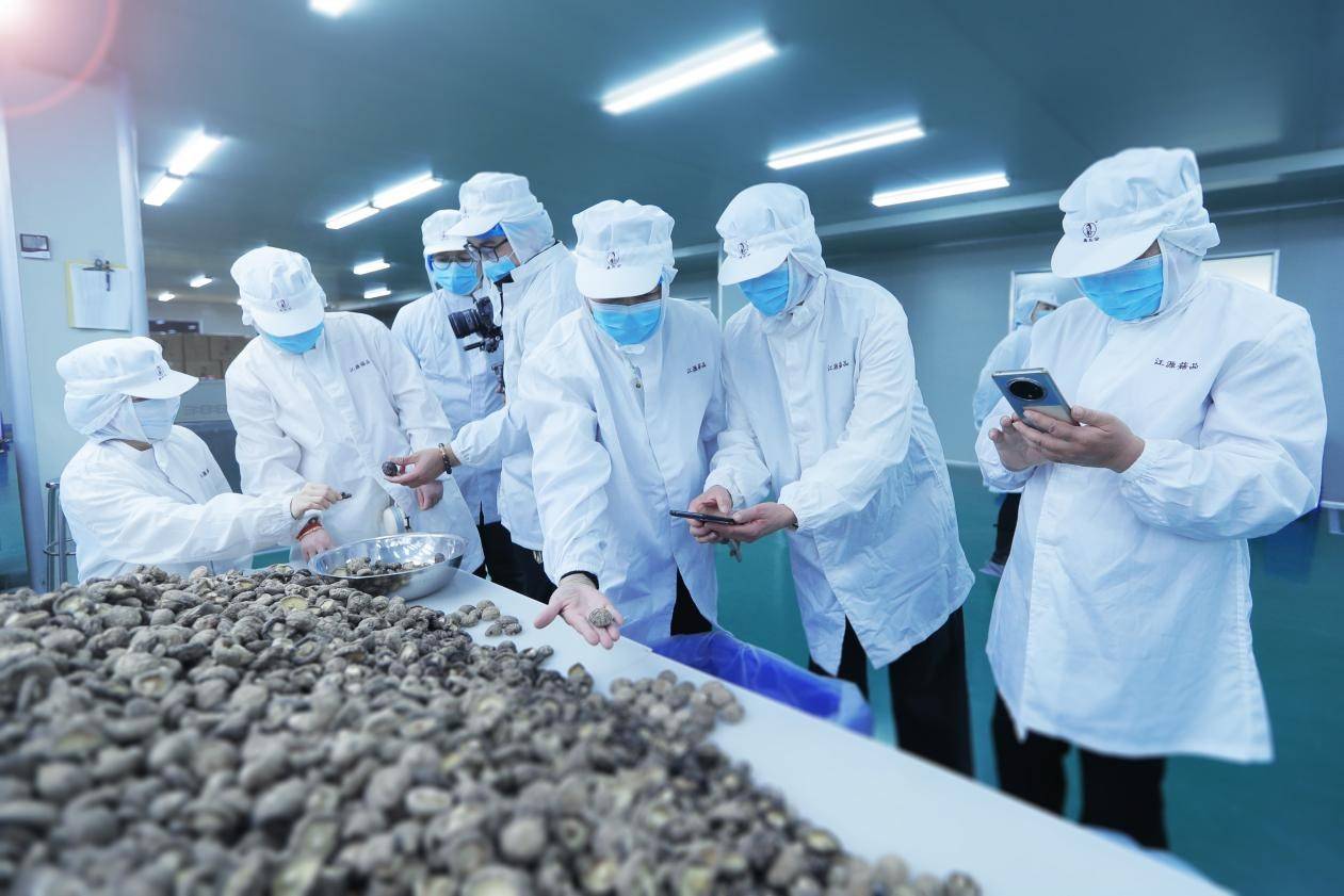 探访兴安林下经济：药丰果蓝松子香