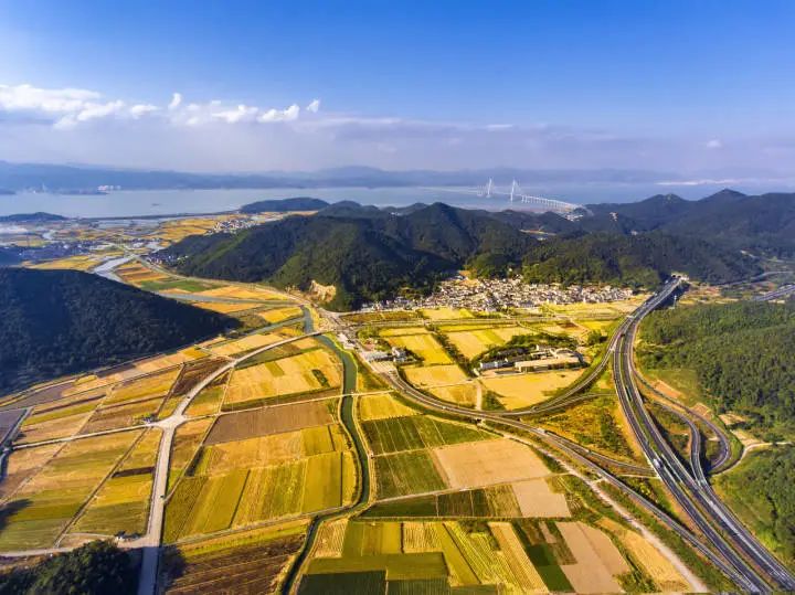 （走进中国乡村）浙北小蜗牛“爬”出共富链撬动西餐市场