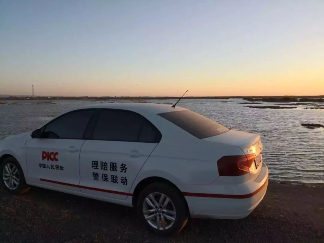 中国仿真花行业:2025新需求驱动市场细分_保险有温度,人保财险