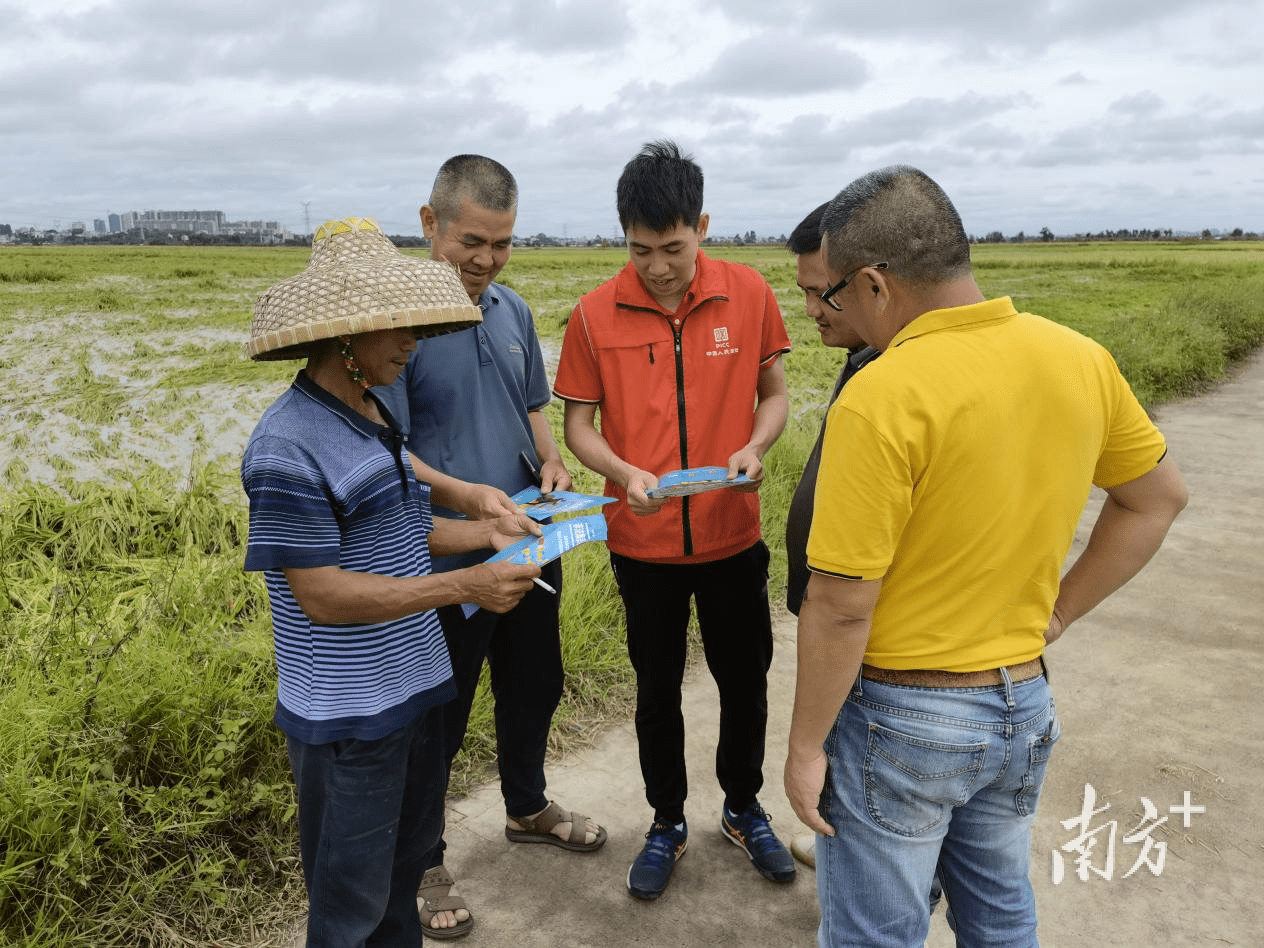 中国仿真花行业:2025新需求驱动市场细分_保险有温度,人保财险